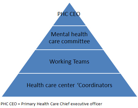 health mental hierarchy program figure